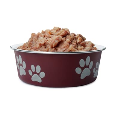 Raw Dog Food: Myths vs. Facts | Fresh Dog Food Delivery | Blog Post