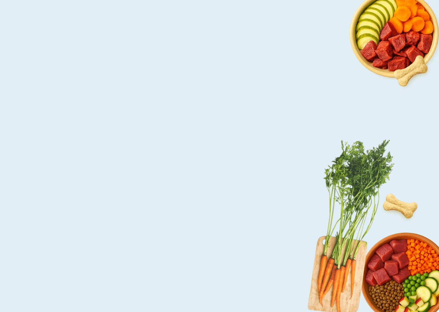 Top Alternatives to The Farmer’s Dog | Fresh Dog Food Delivery