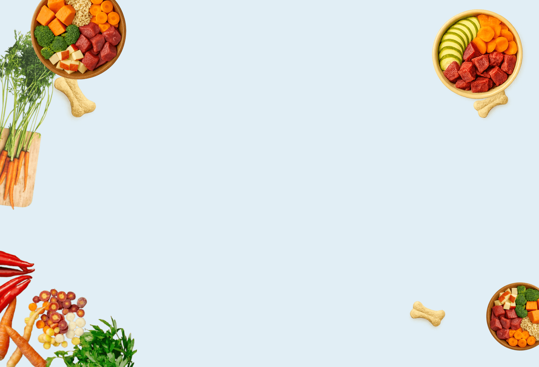 The Farmer's Dog Best Dog Food Alternatives | Fresh Dog Food Delivery